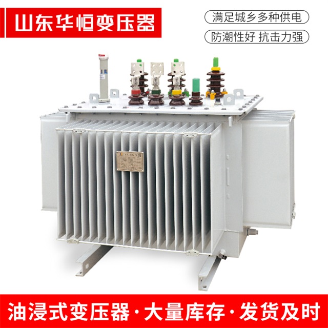 S13-10000/35科尔沁左翼后科尔沁左翼后科尔沁左翼后电力变压器